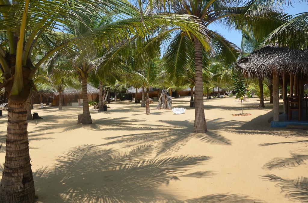Dolphin Beach Resort Kalpitiya Exterior foto