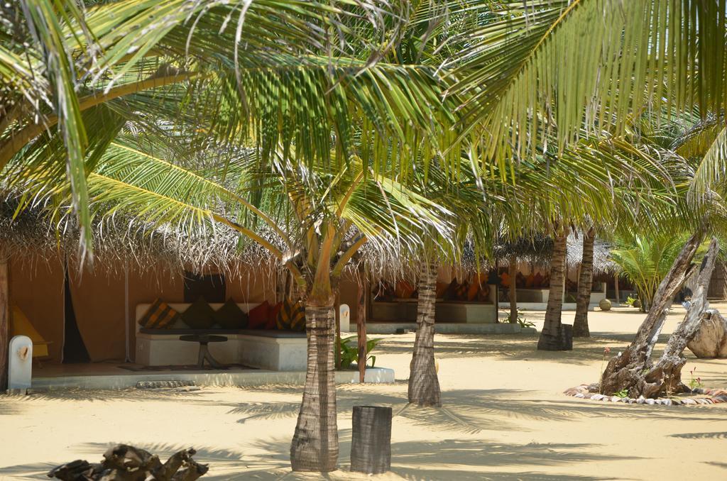 Dolphin Beach Resort Kalpitiya Exterior foto